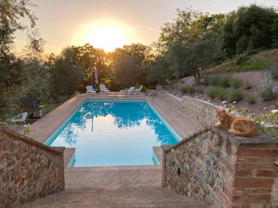Vesper - Casale Con Piscina - Ad Galli Cantum Читта-делла-Пьеве Экстерьер фото