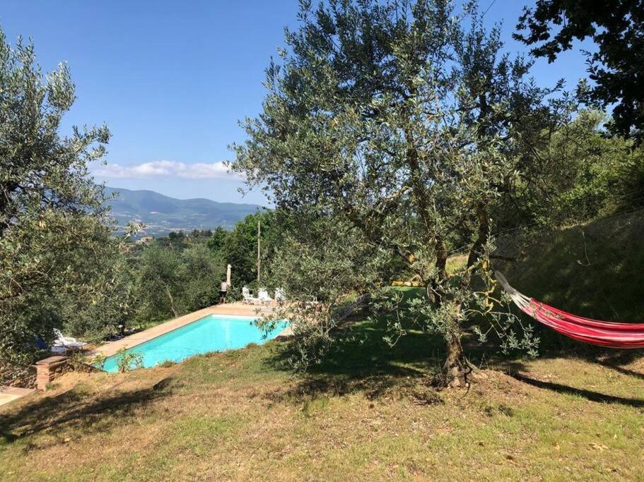 Vesper - Casale Con Piscina - Ad Galli Cantum Читта-делла-Пьеве Экстерьер фото